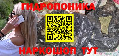 шишки Заводоуковск