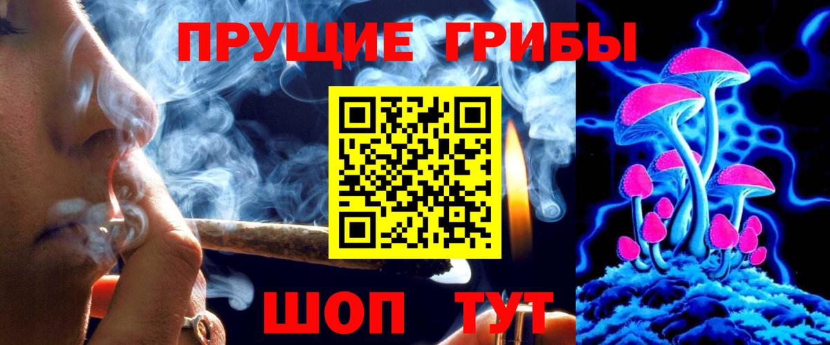 Михайловка  Псилоцибиновые грибы ЛСД  Вход с VPN  Галлюциногенные грибы Cubensis 